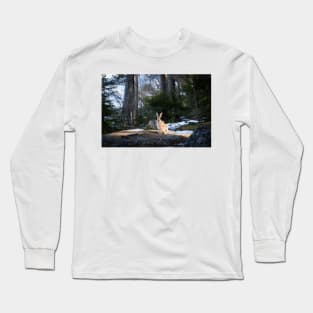 Lepus europaeus in the forest Long Sleeve T-Shirt